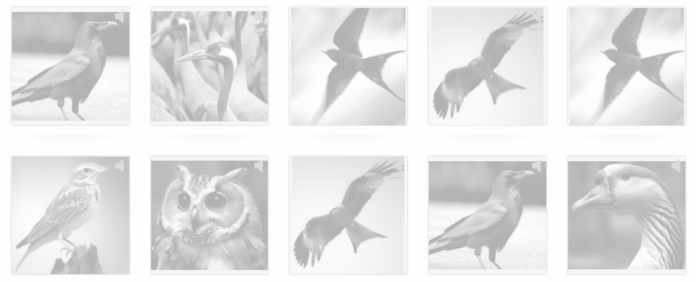 Запоминаем имена птиц на хакасском языке с помощью интерактивных досок хакасский язык в карточках