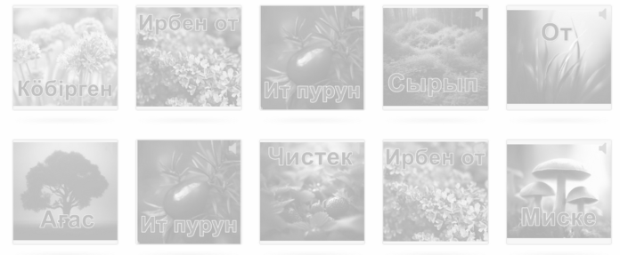 Названия растений по-хакасски названия растений по-хакасски